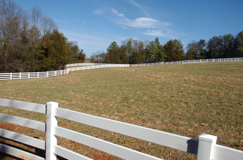Fence Painting detail