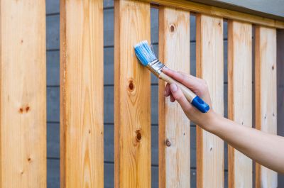Fence Painting detail